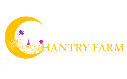 My Store